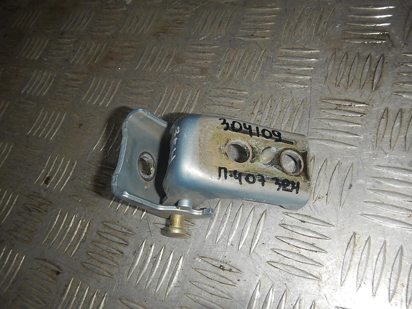 Петля двери задней правой нижняя