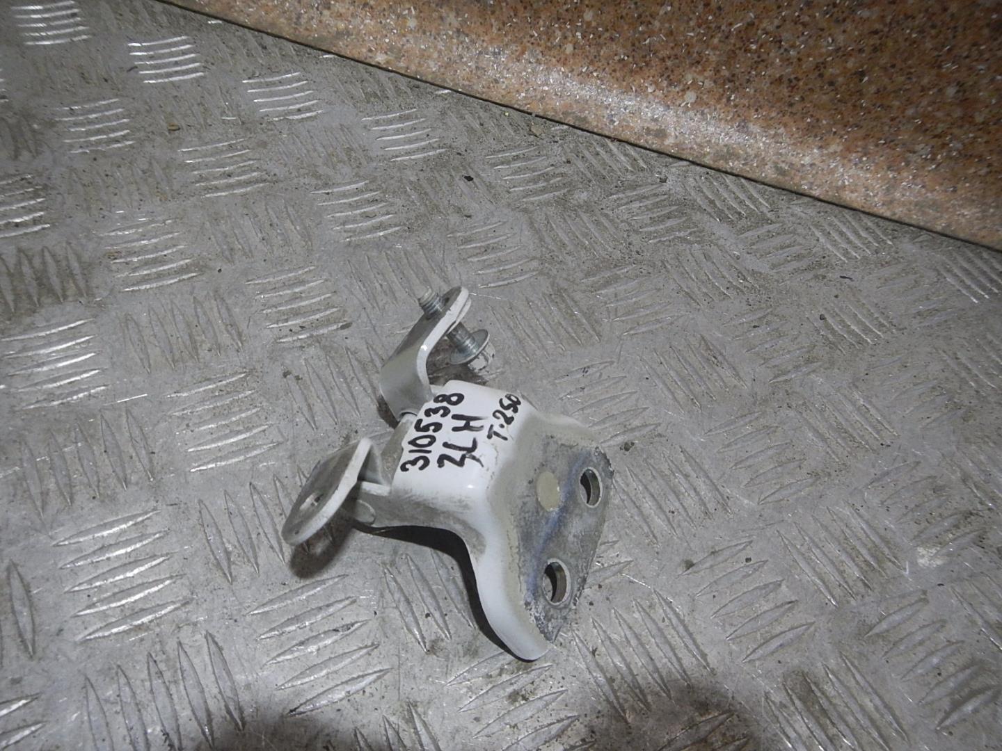 Петля двери задней левой нижняя