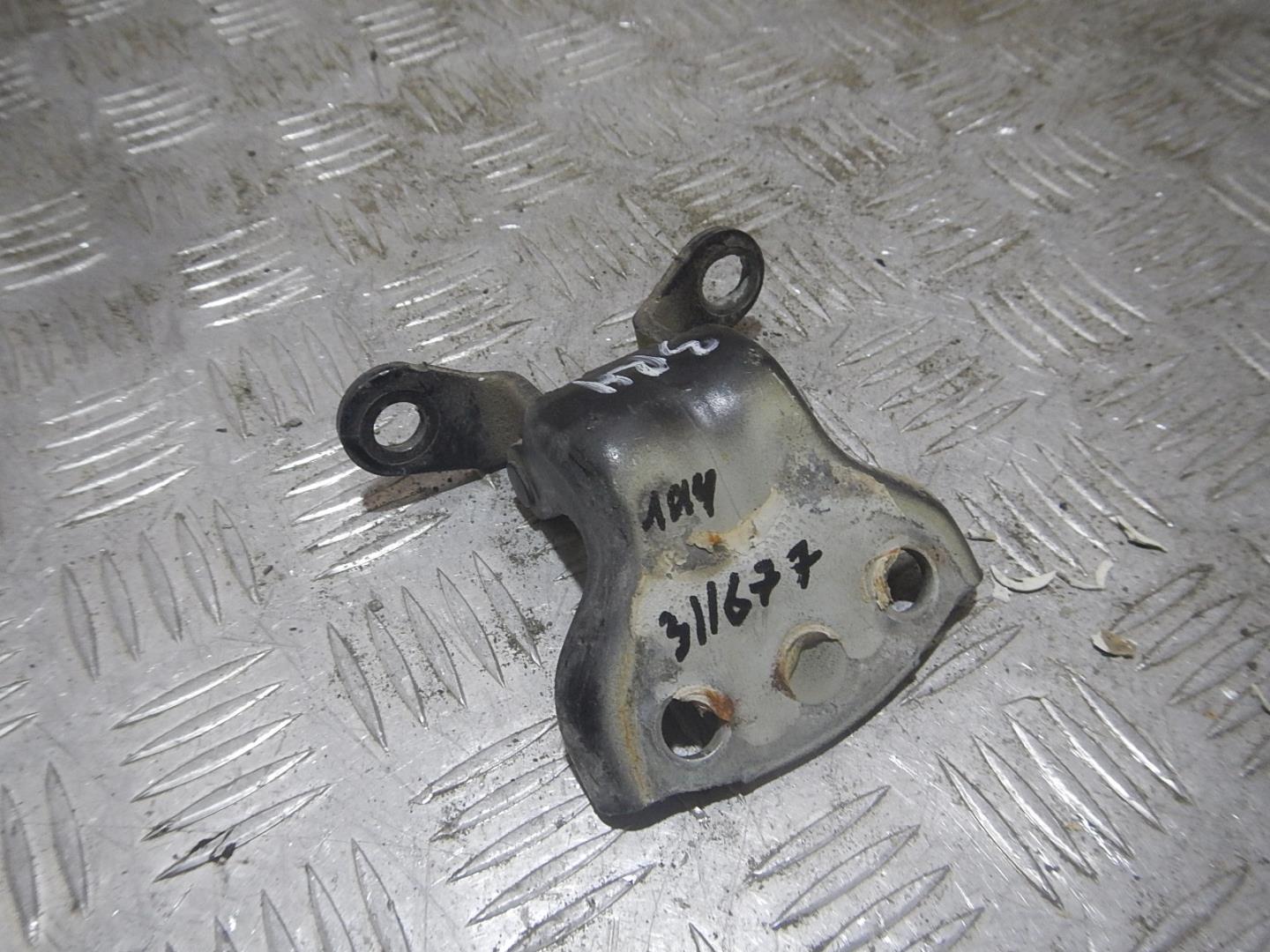 Петля двери задней правой нижняя