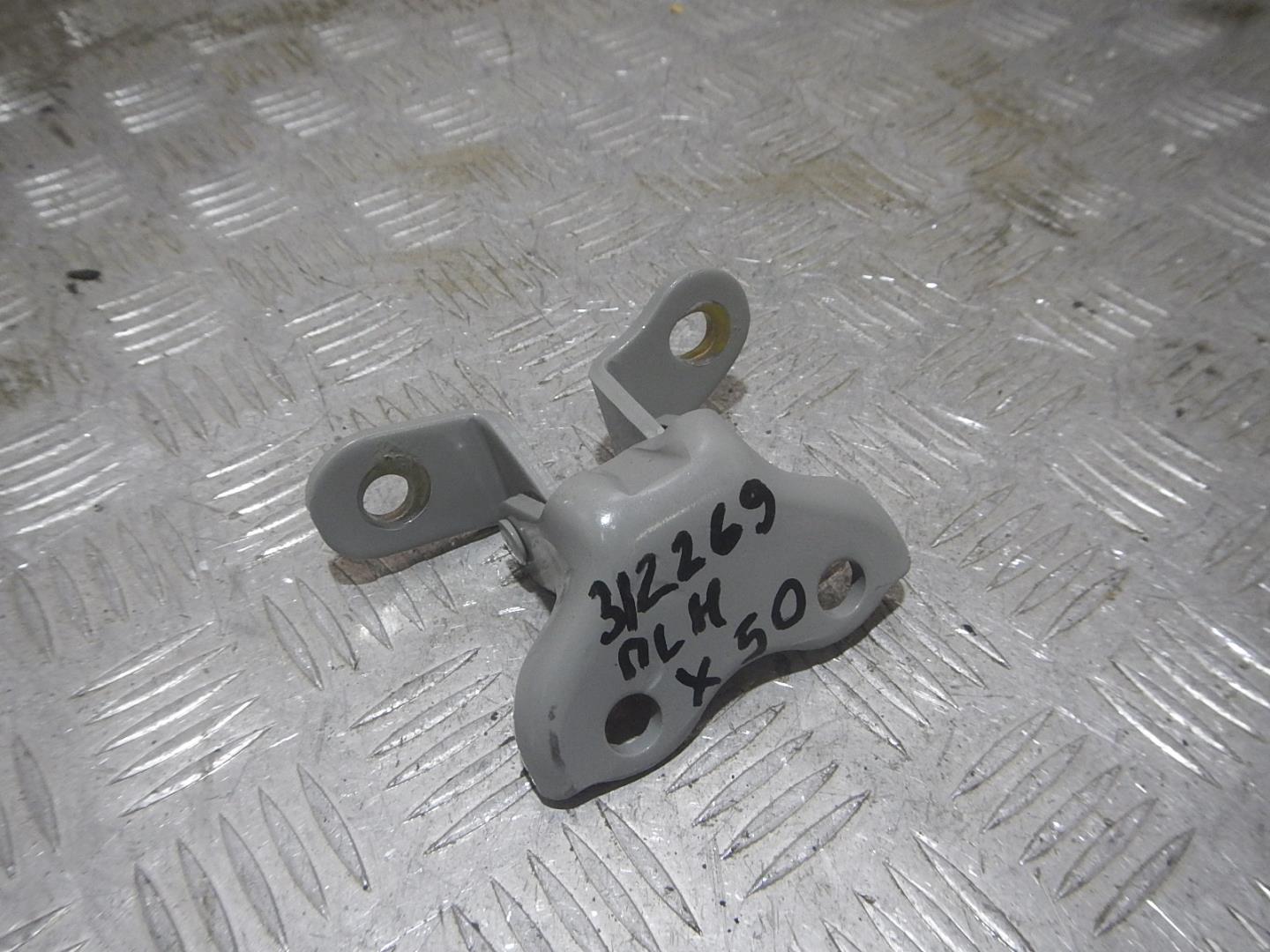 Петля двери передней левой нижняя