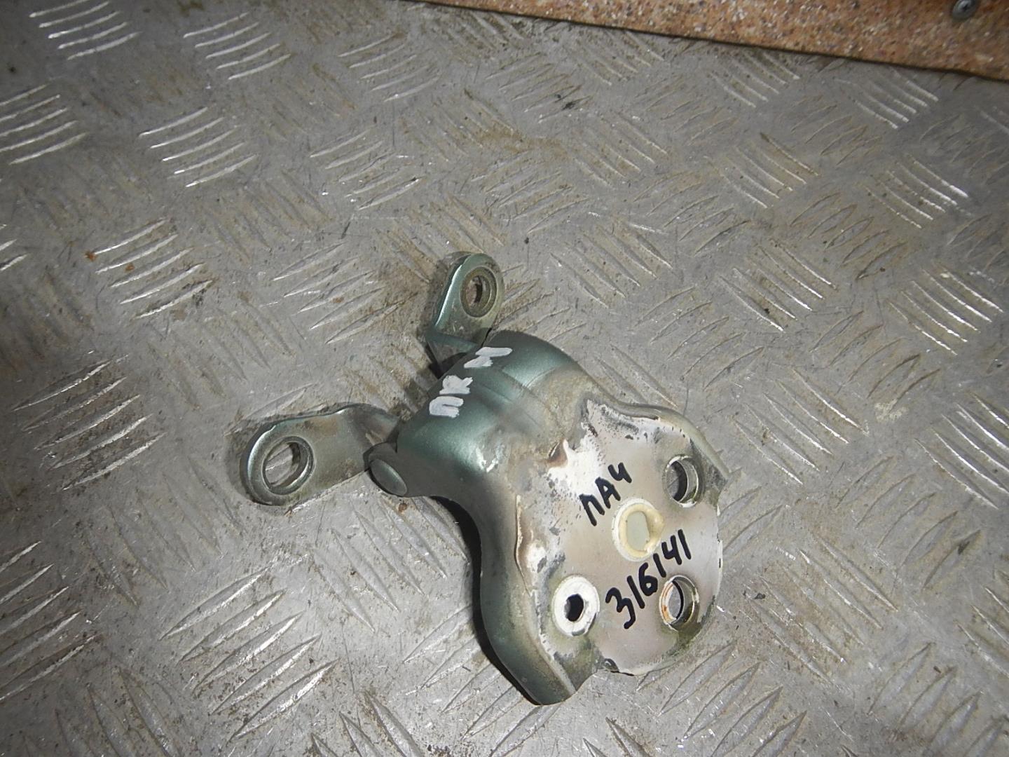 Петля двери передней правой нижняя