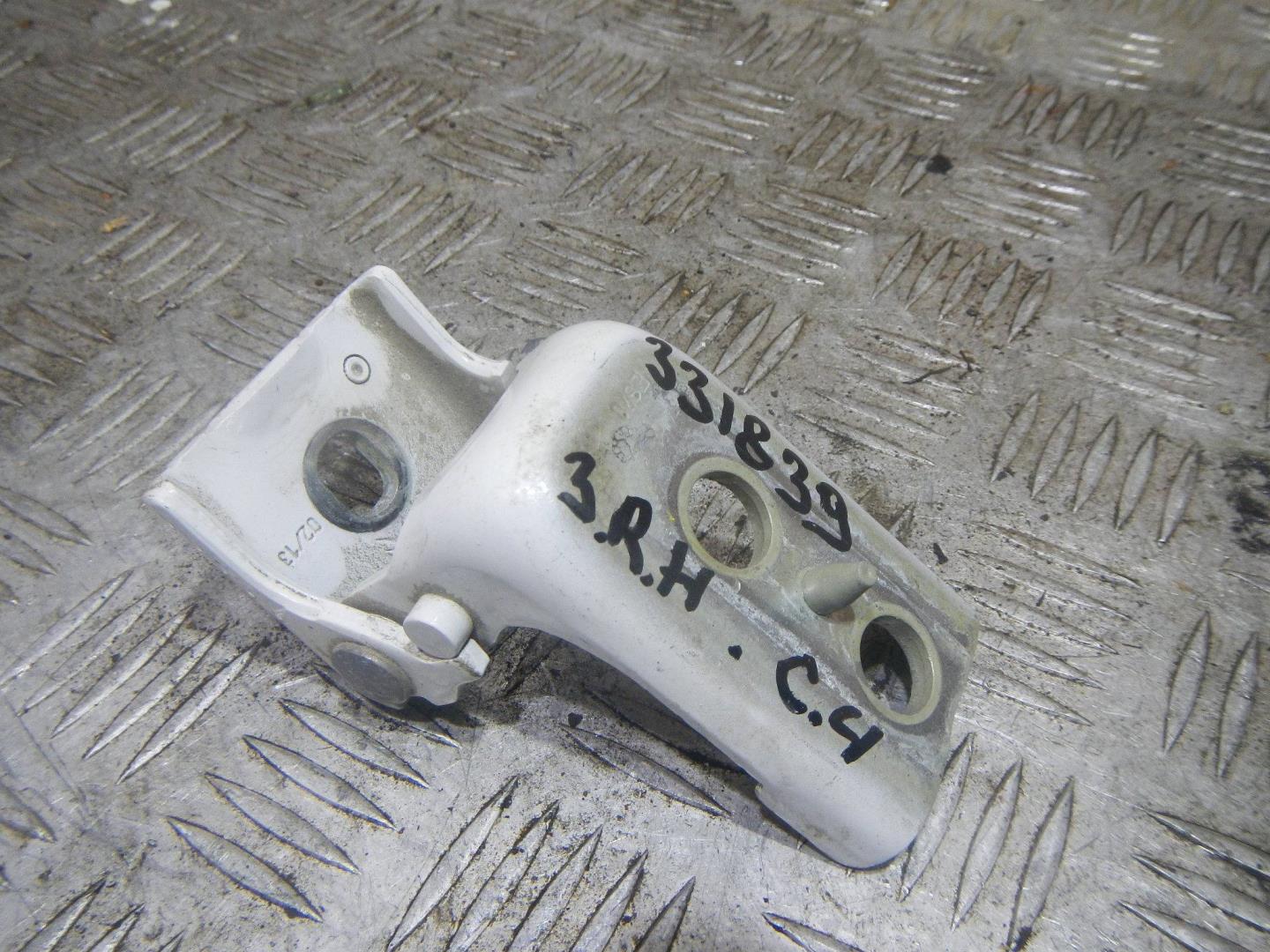 Петля двери задней правой нижняя