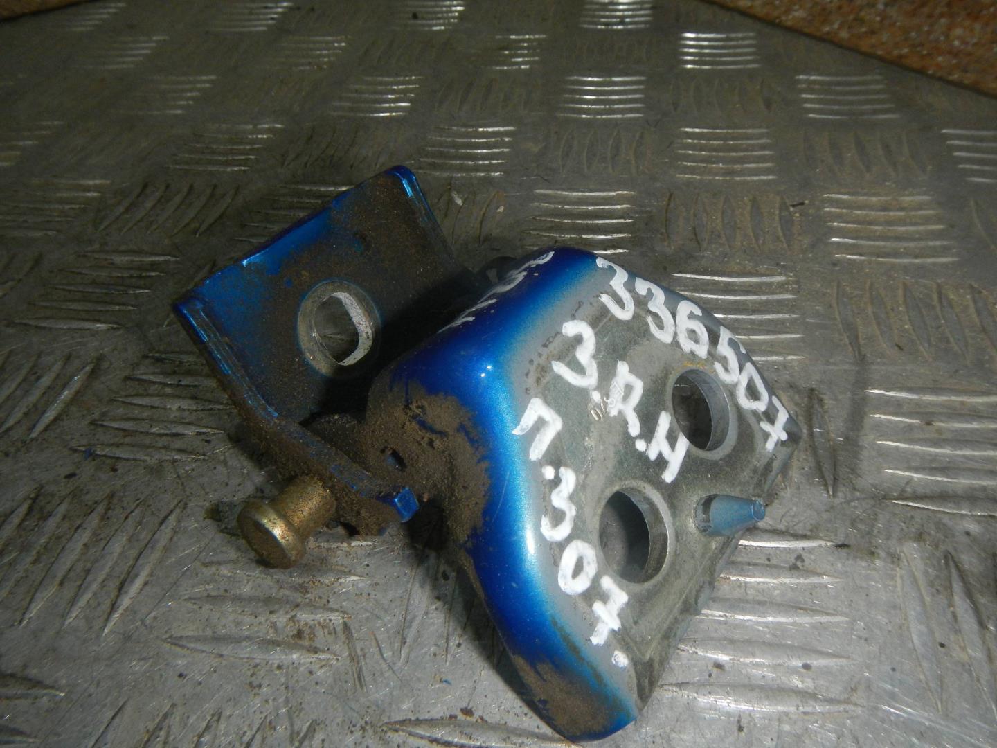 Петля двери задней правой нижняя