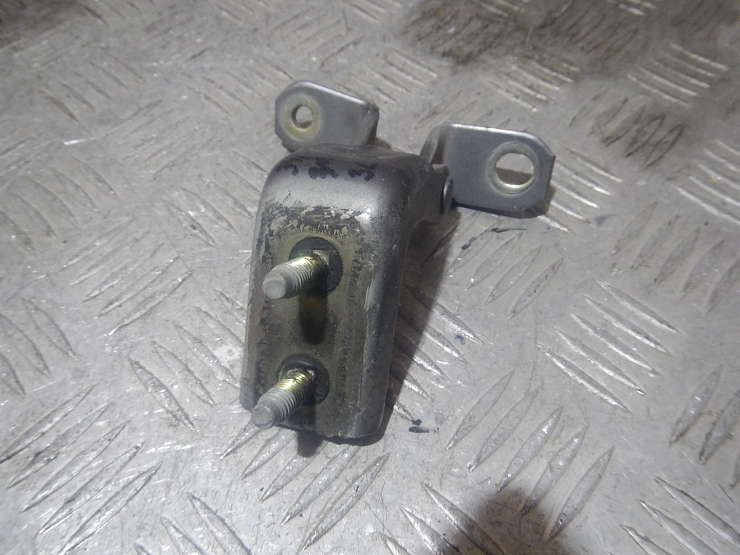 Петля двери задней левой нижняя