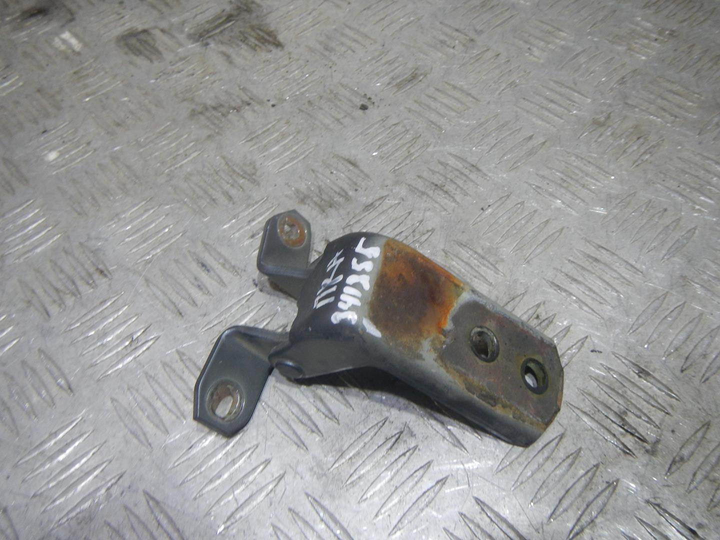 Петля двери передней правой нижняя