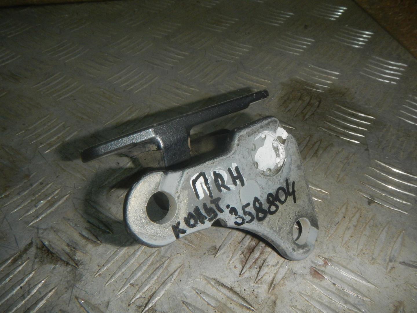 Петля двери передней правой нижняя