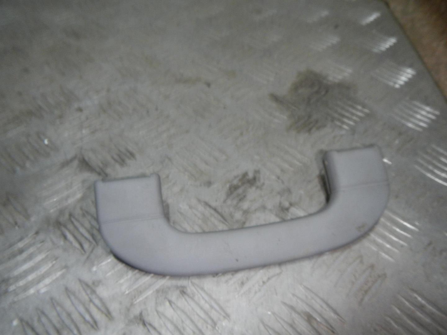 Ручка внутренняя потолочная