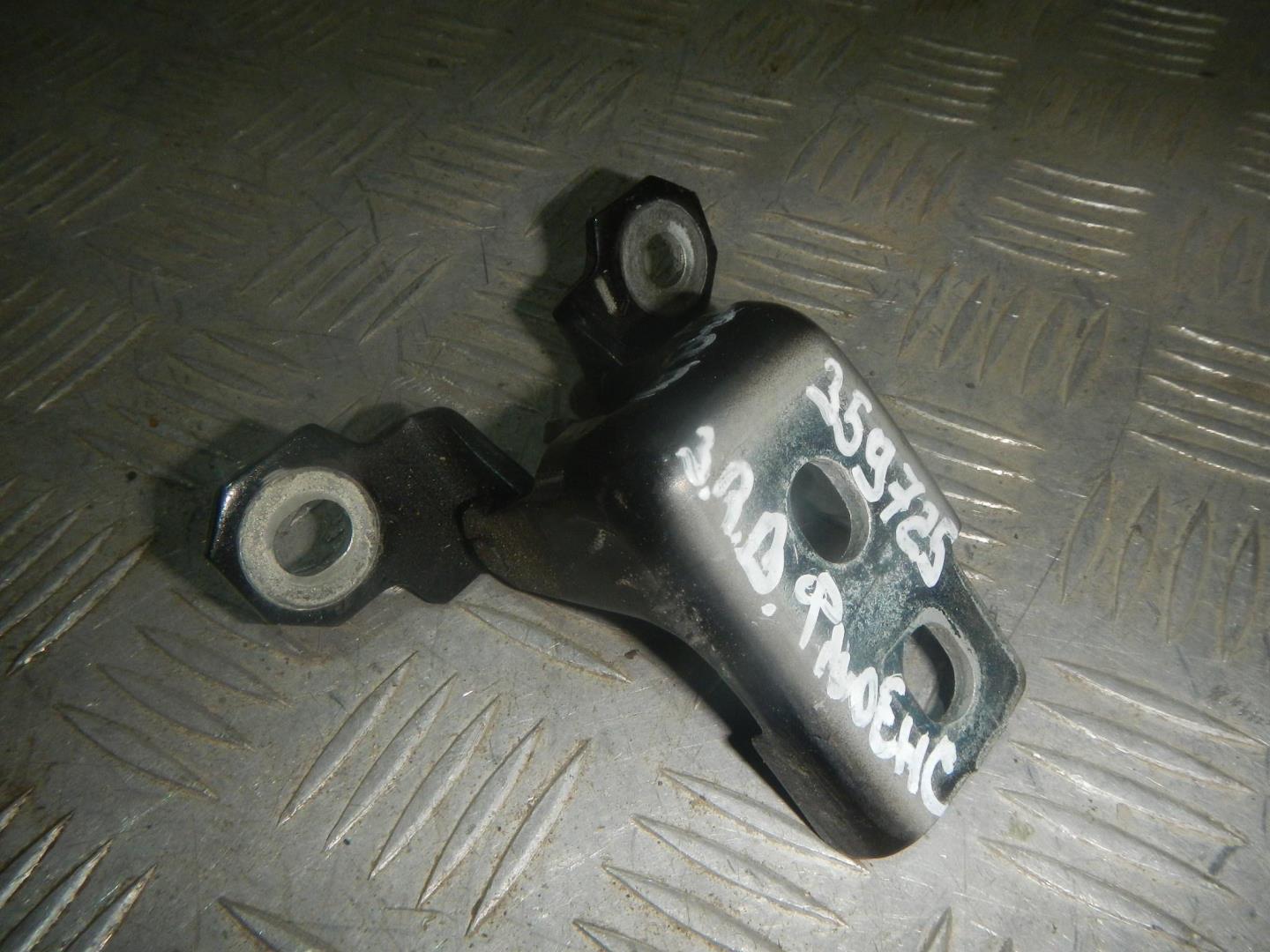 Петля двери задней правой верхняя