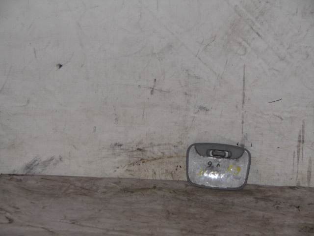 Плафон салонный