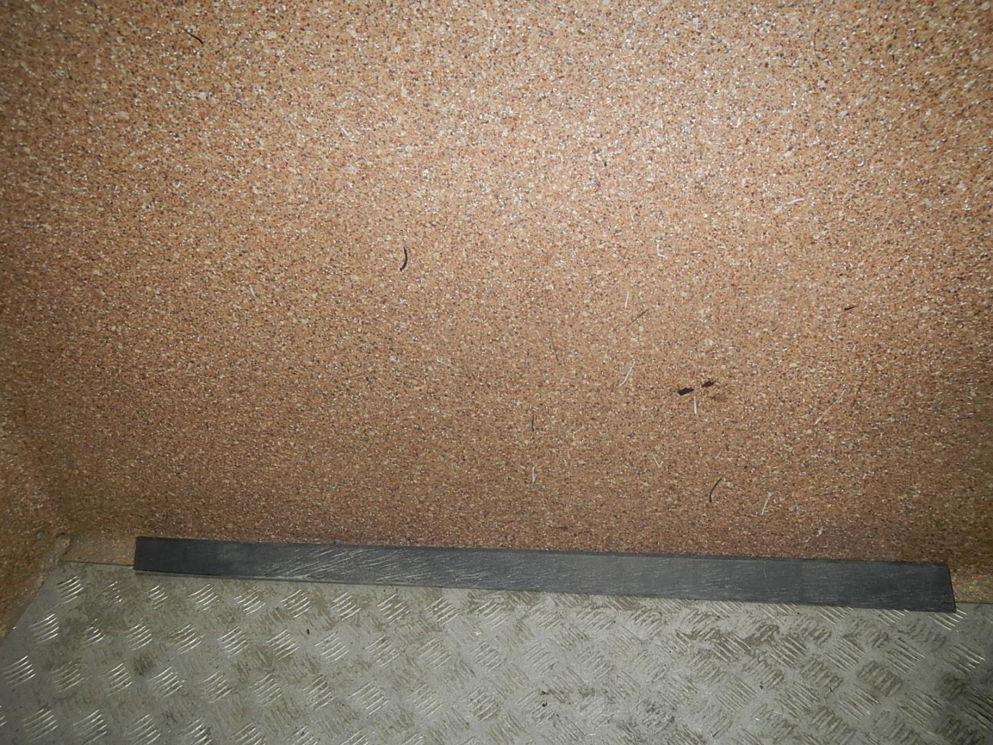 Молдинг передней левой двери