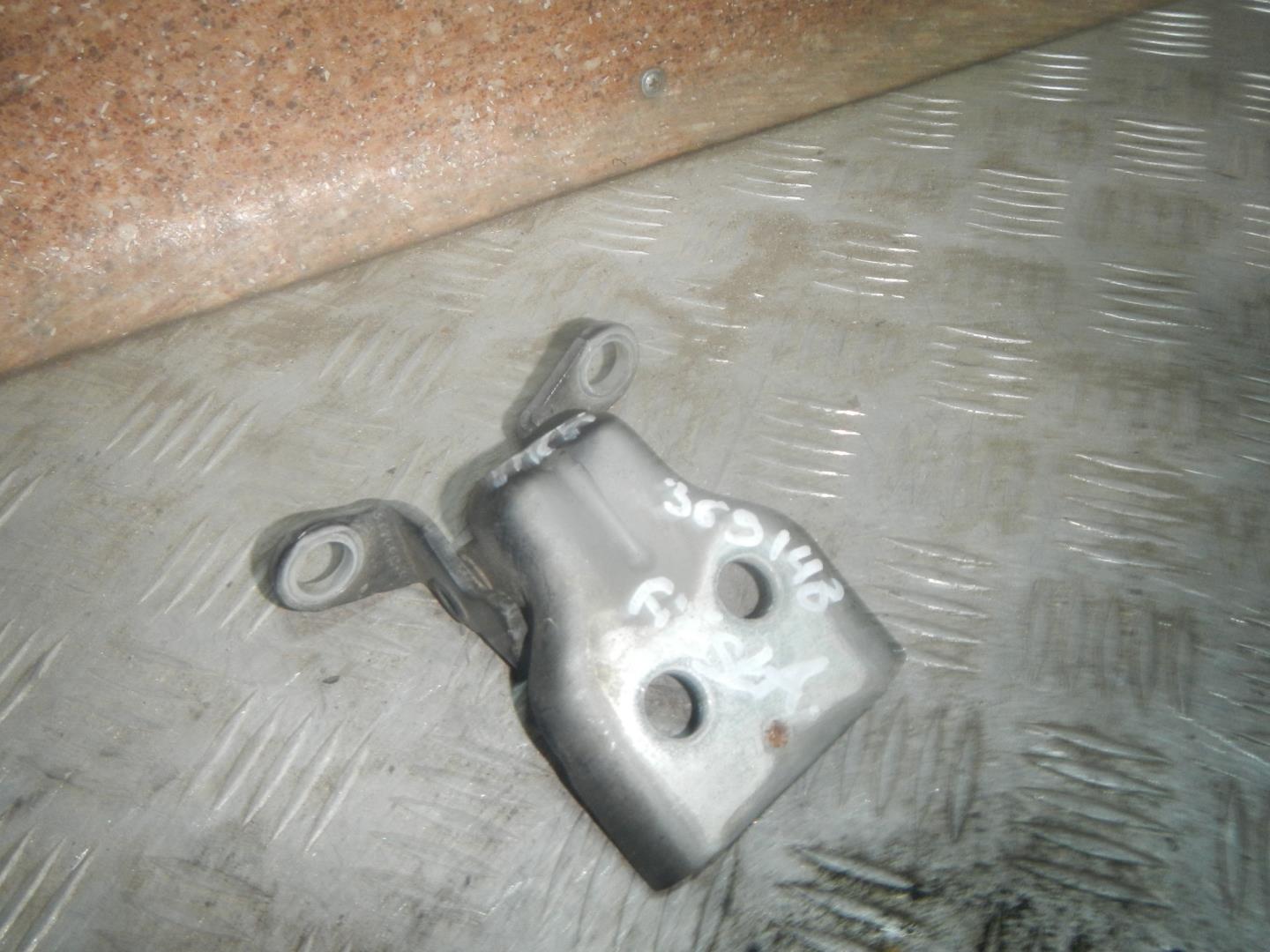 Петля двери передней правой нижняя