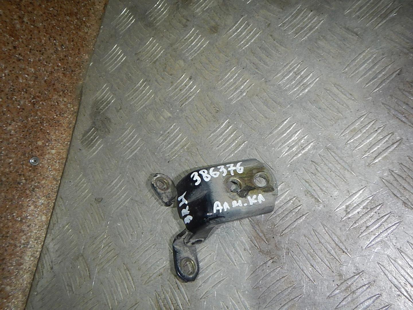 Петля двери задней правой нижняя