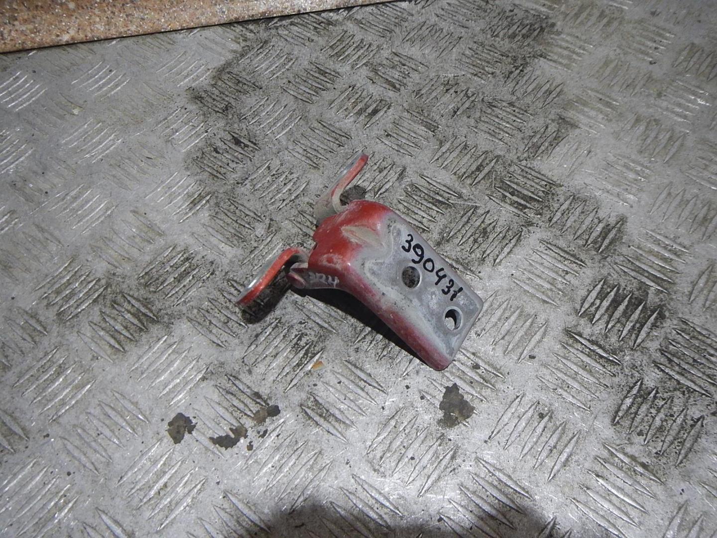 Петля двери задней правой нижняя