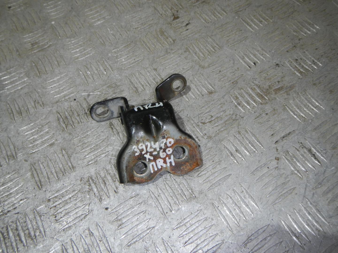 Петля двери передней правой нижняя