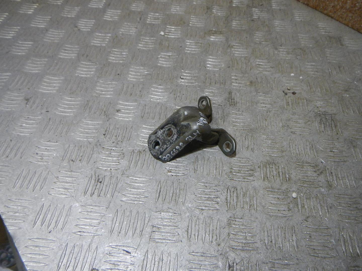 Петля двери задней левой нижняя