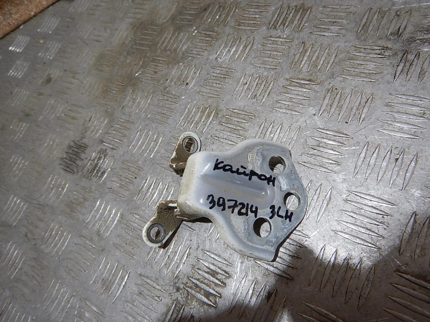 Петля двери задней левой нижняя