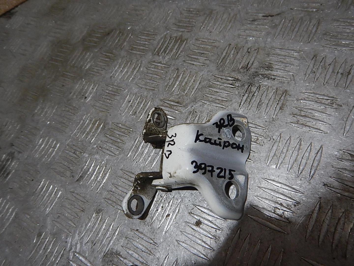 Петля двери задней правой верхняя