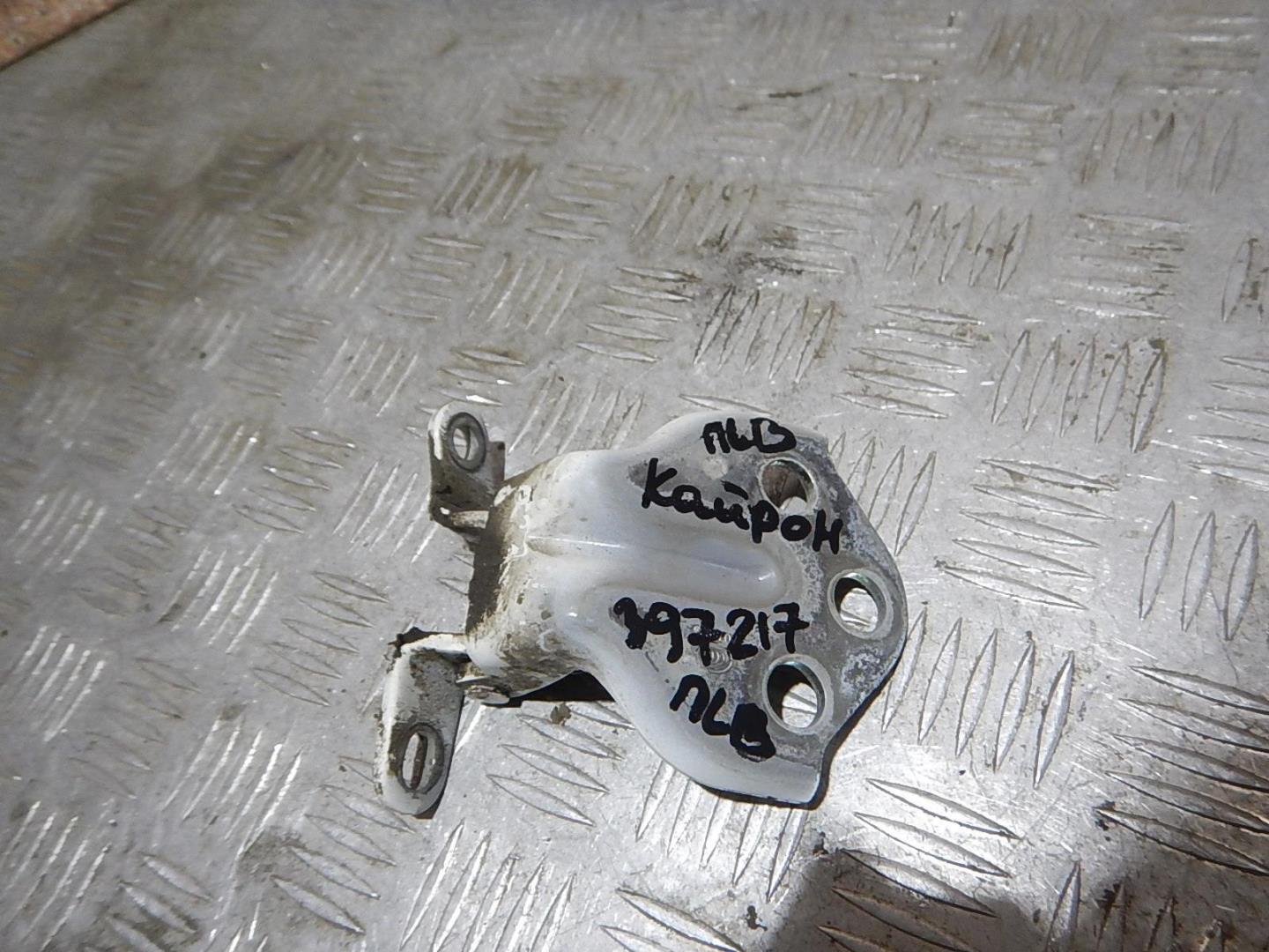 Петля двери передней левой верхняя