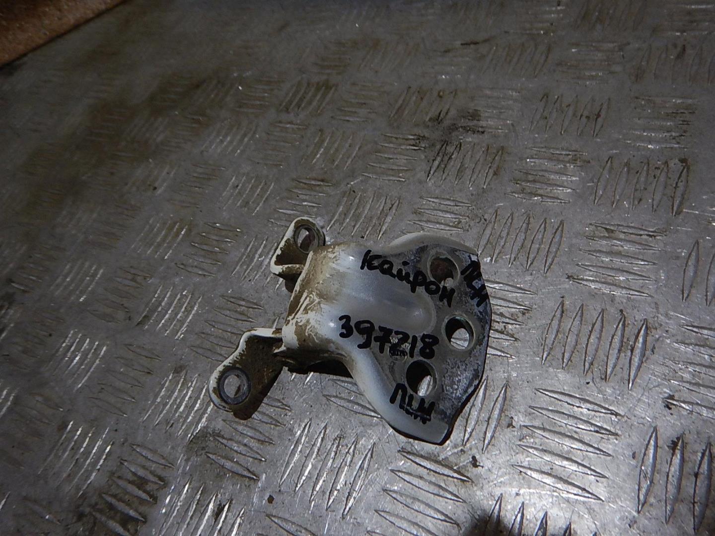 Петля двери передней левой нижняя