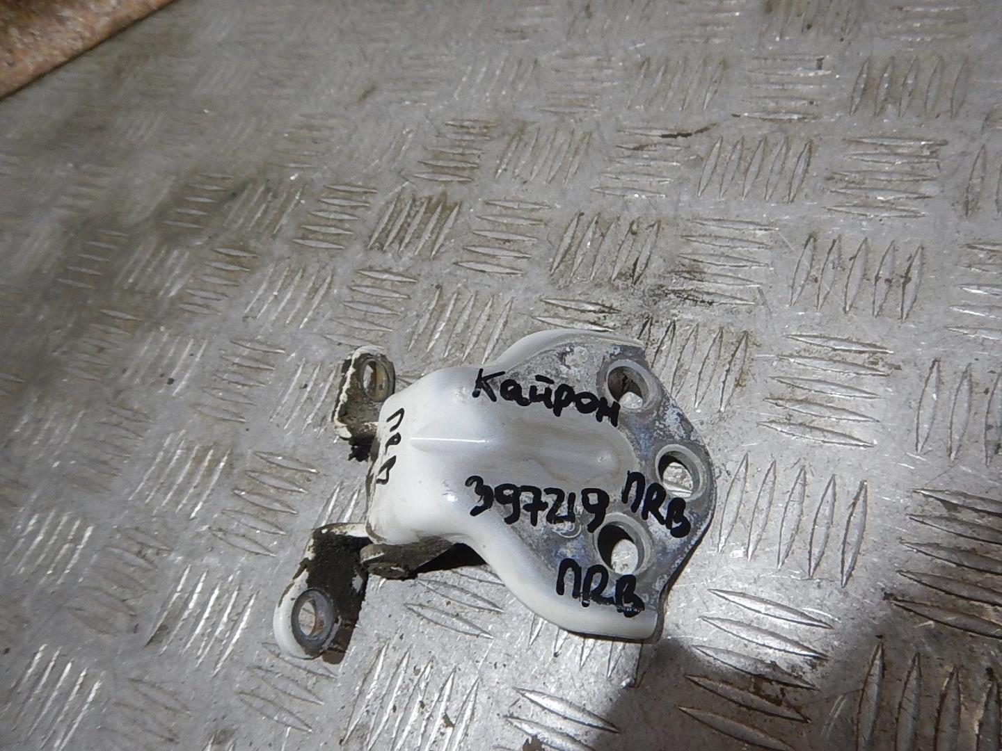 Петля двери передней правой верхняя