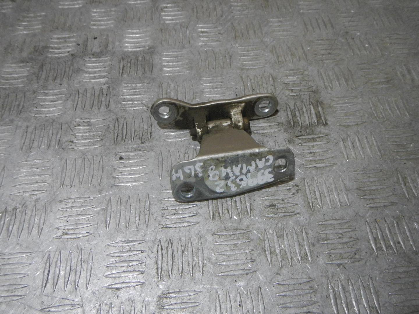 Петля двери задней левой нижняя