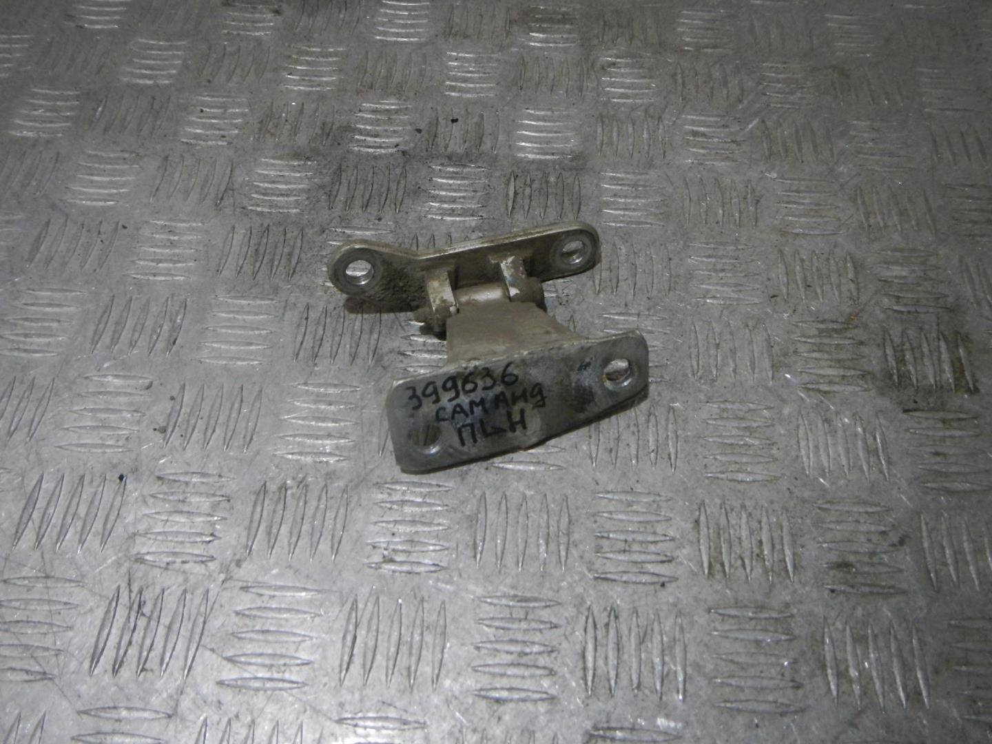 Петля двери передней левой нижняя