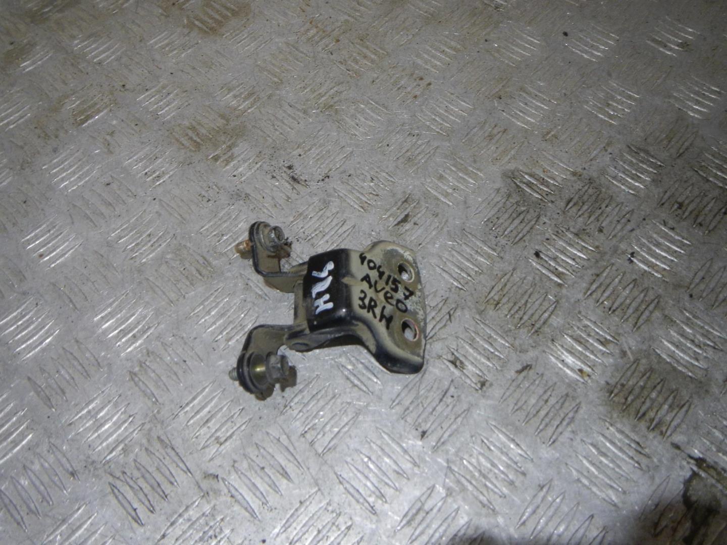 Петля двери задней правой нижняя