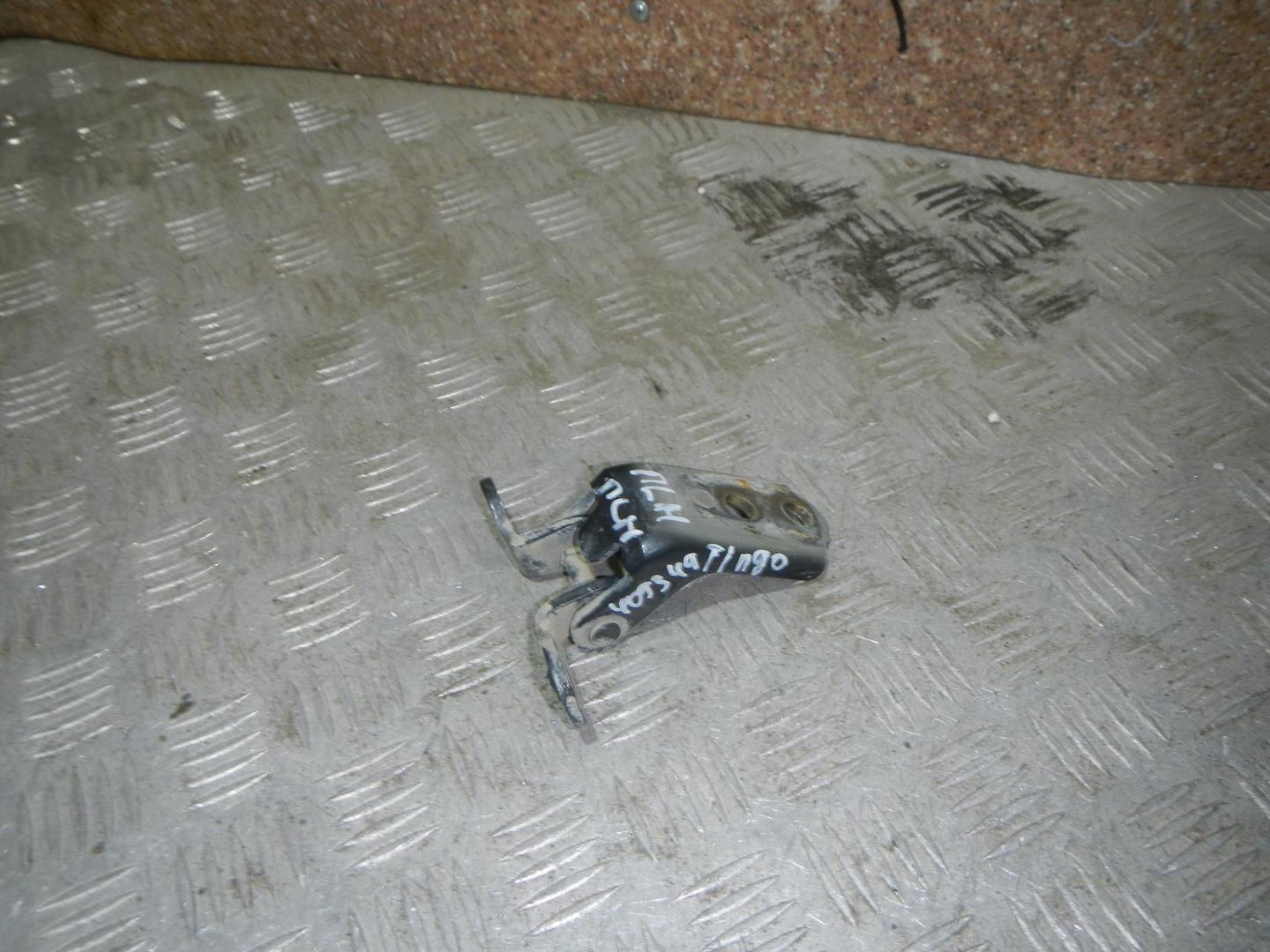 Петля двери передней левой нижняя