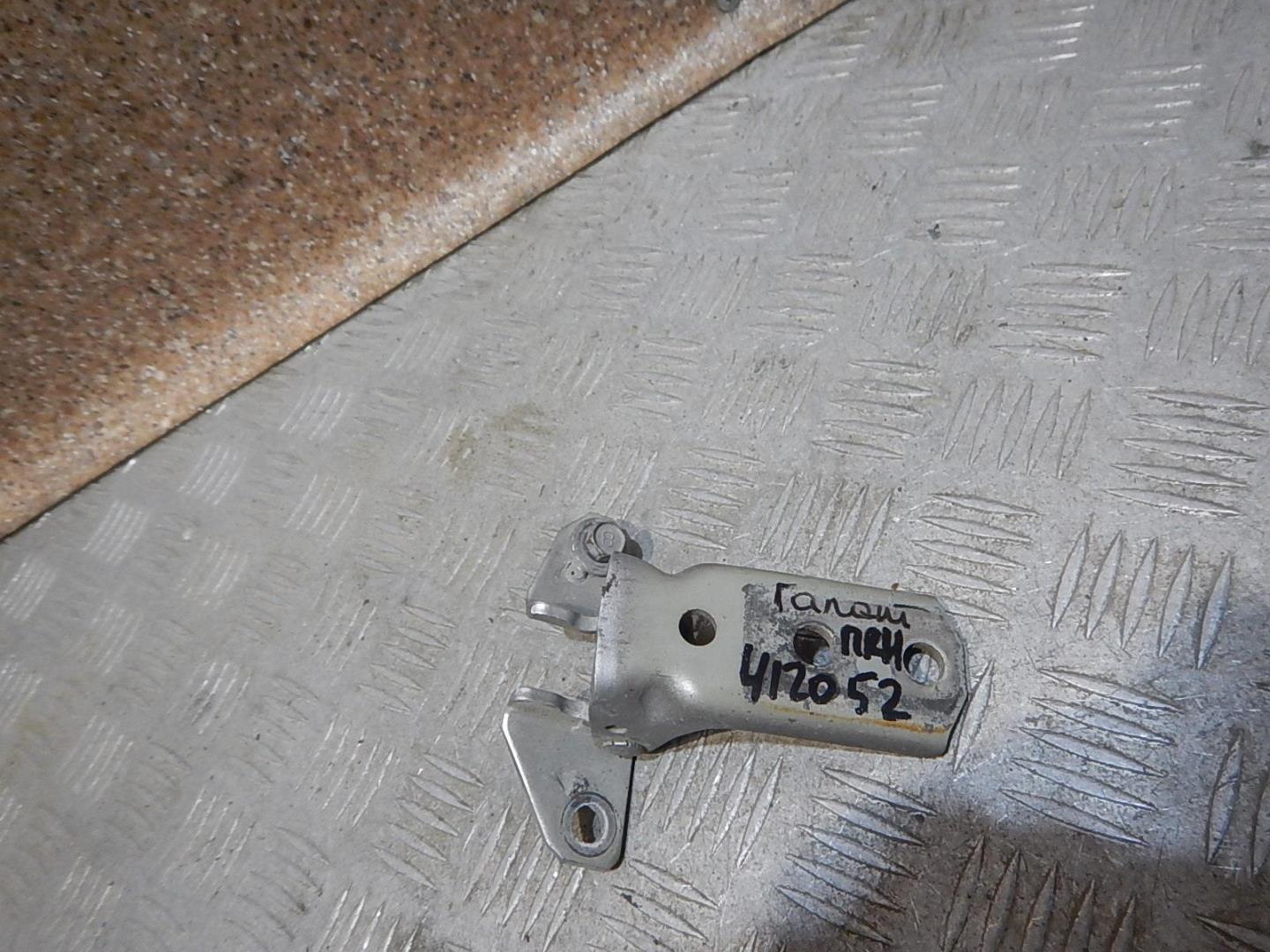 Петля двери передней правой нижняя