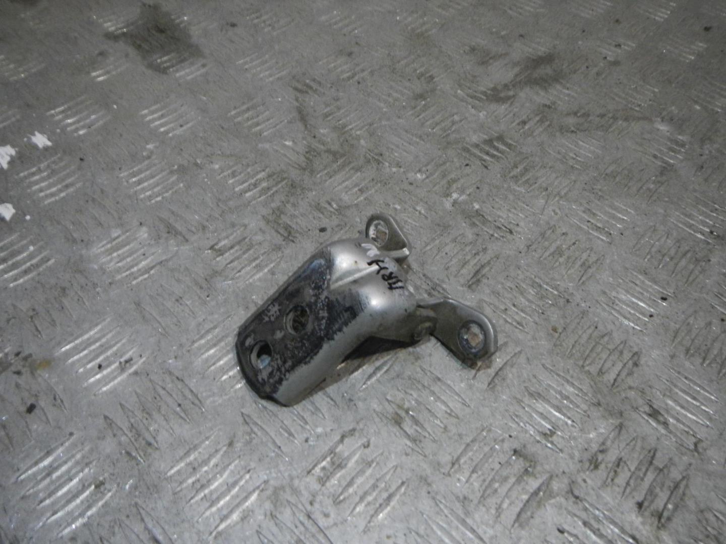 Петля двери передней правой нижняя