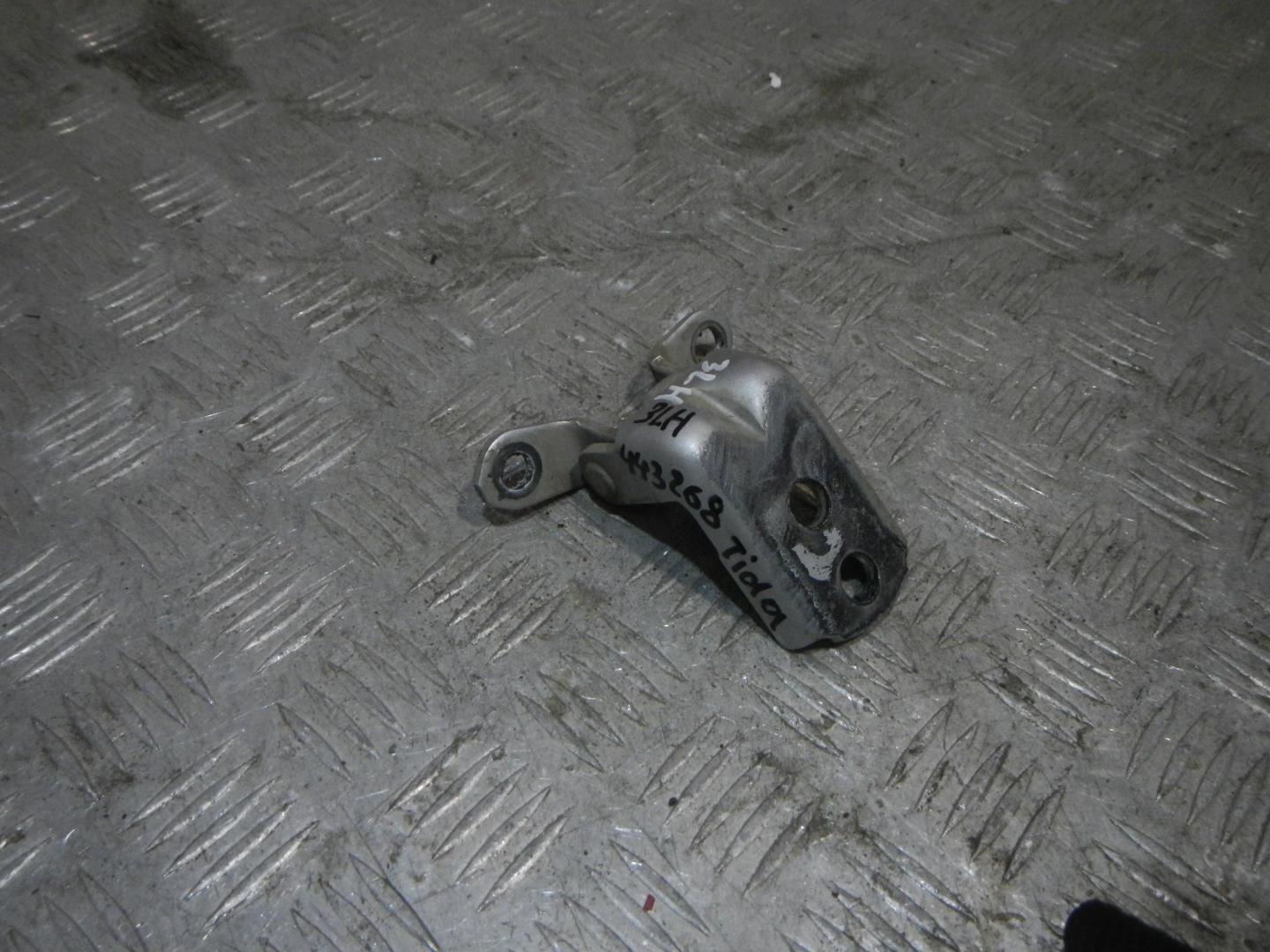 Петля двери задней левой нижняя