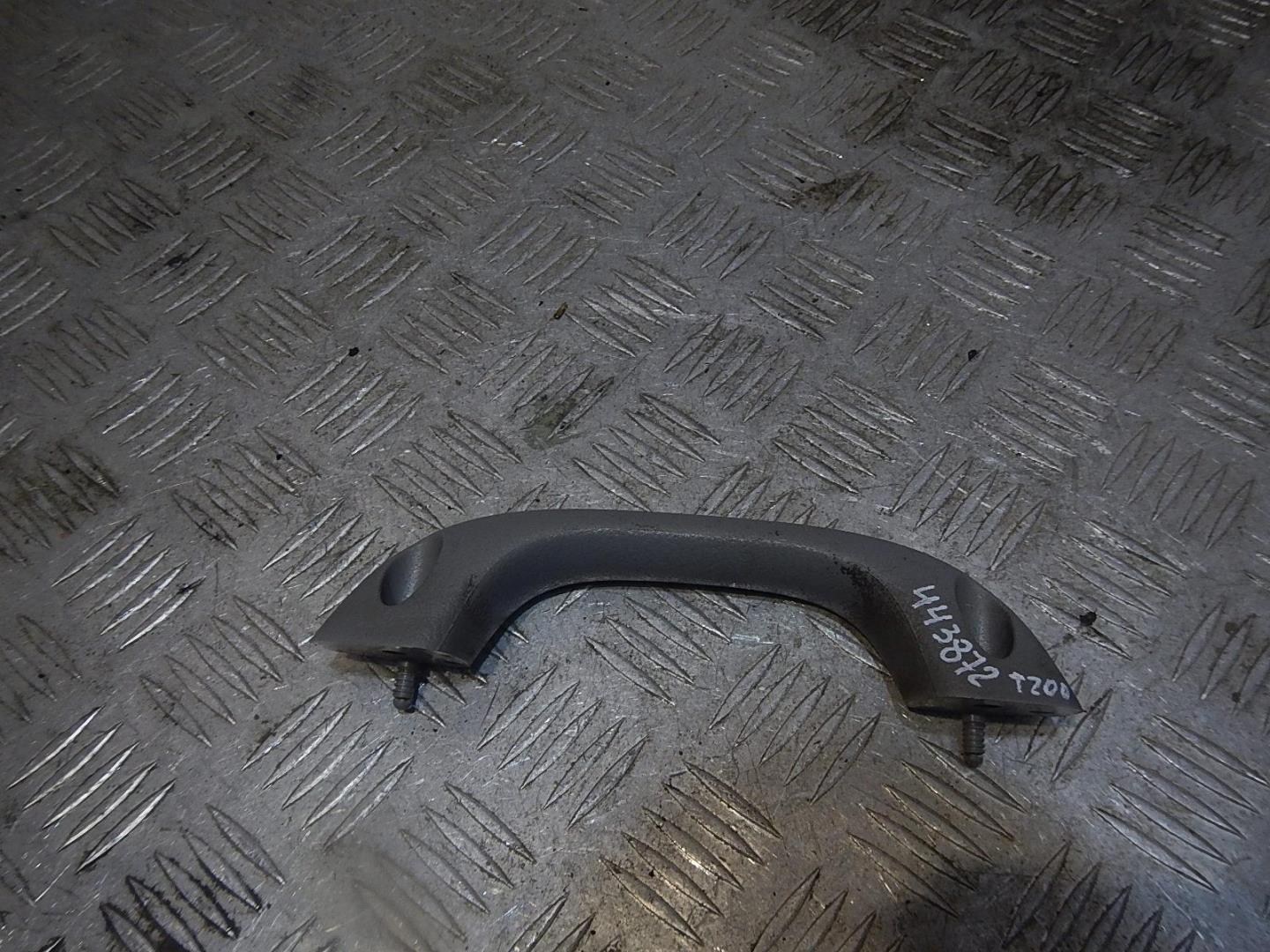 Ручка внутренняя потолочная