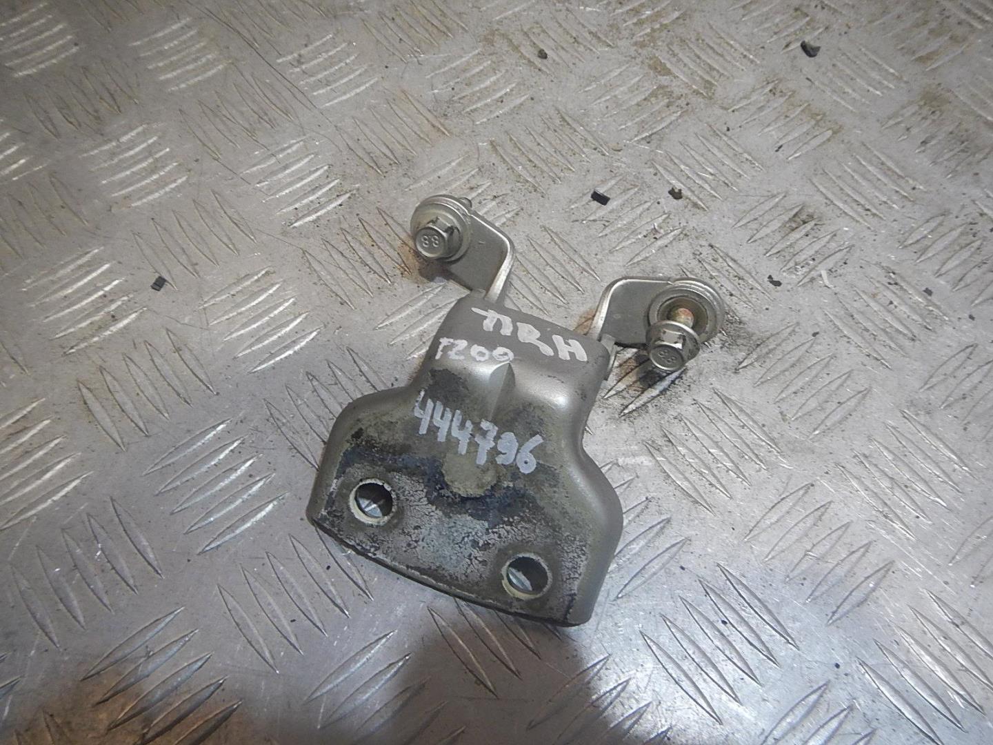 Петля двери передней правой нижняя