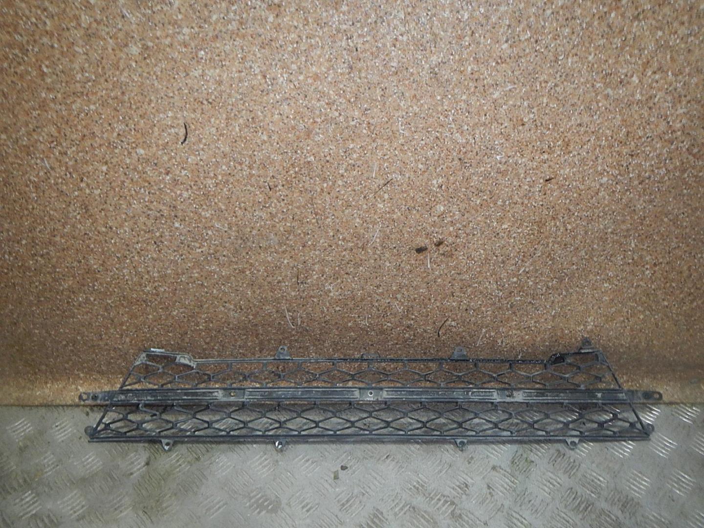 Решетка в бампер центральная