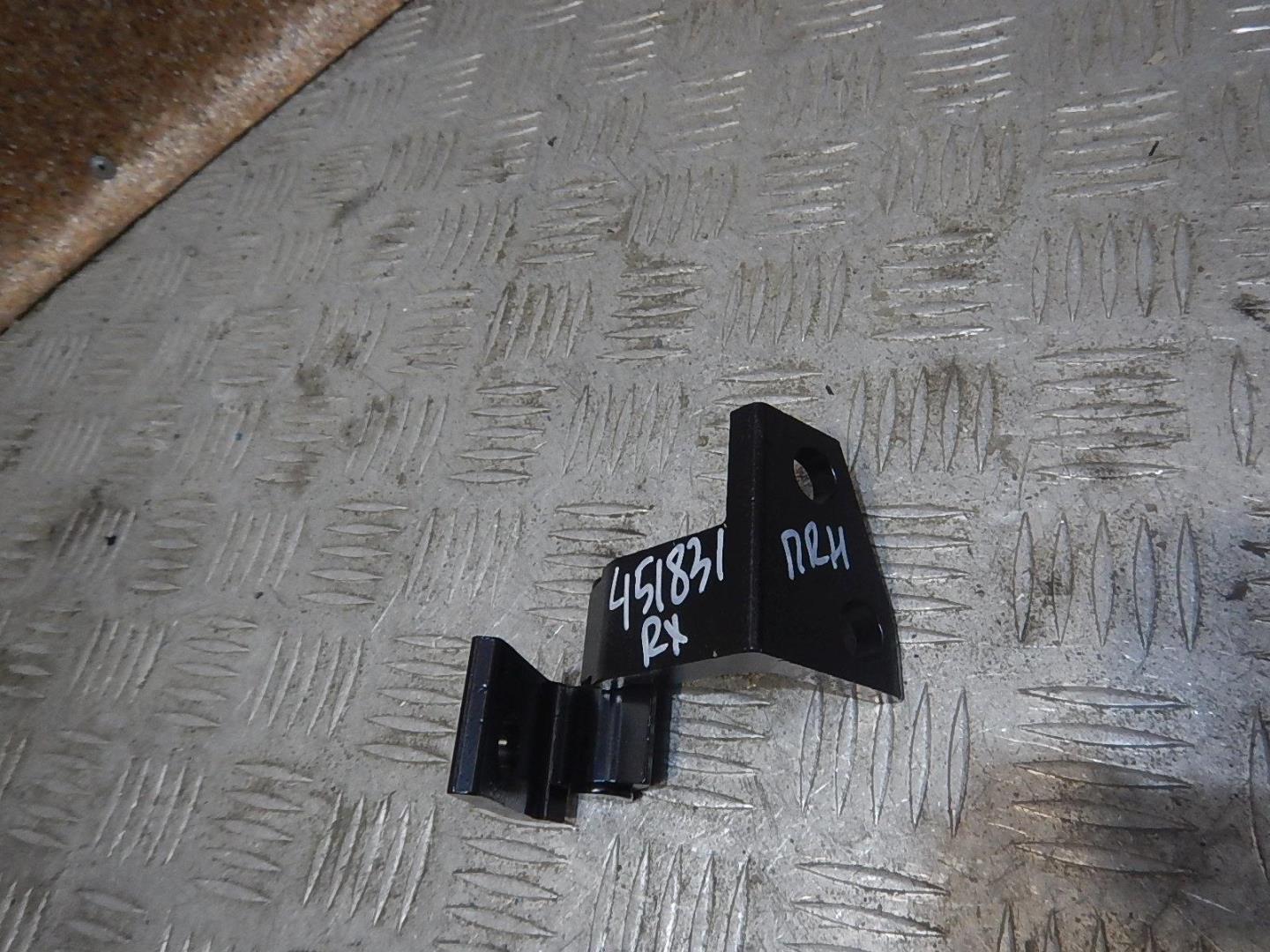 Петля двери передней правой нижняя