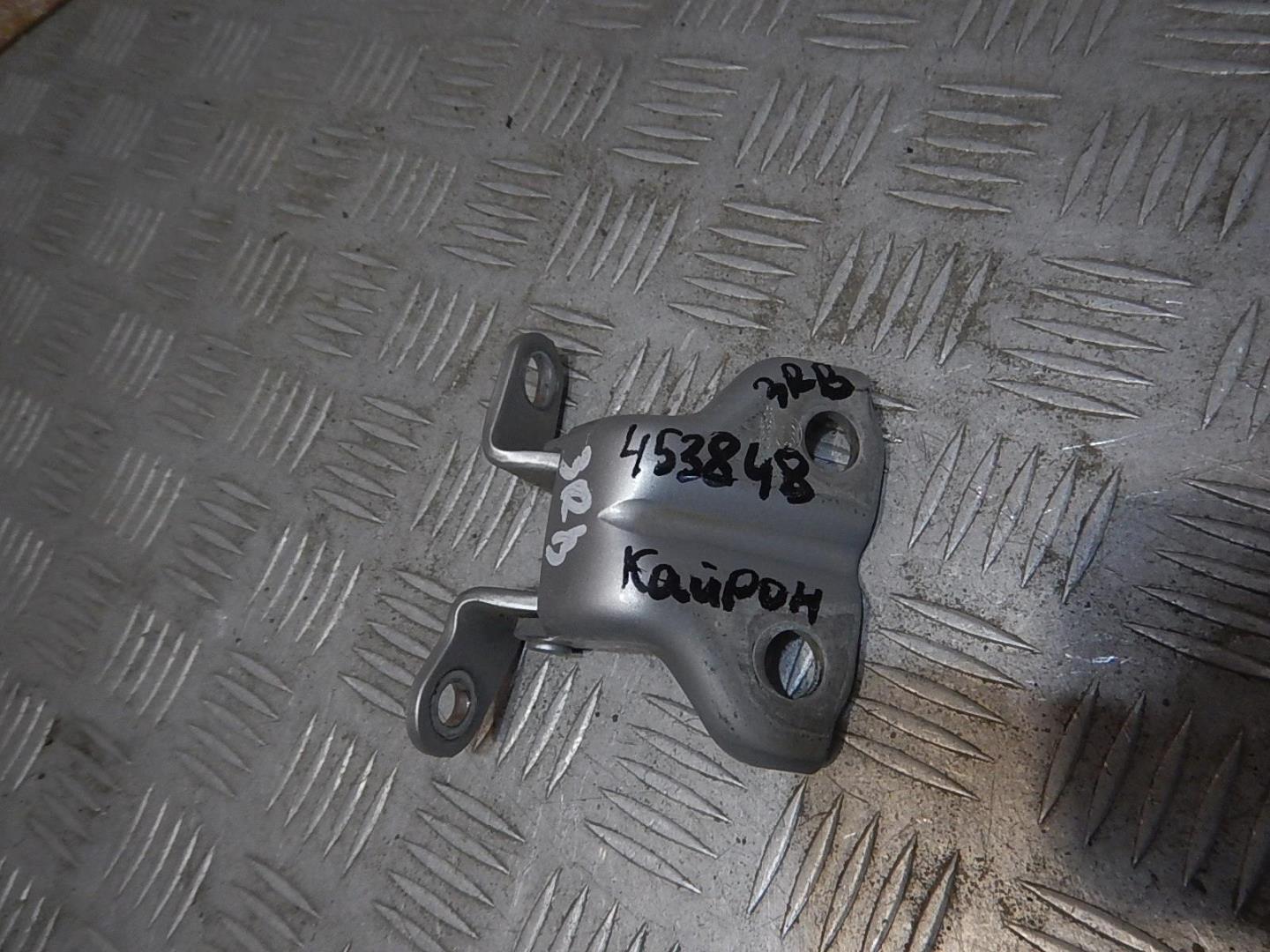 Петля двери задней правой верхняя