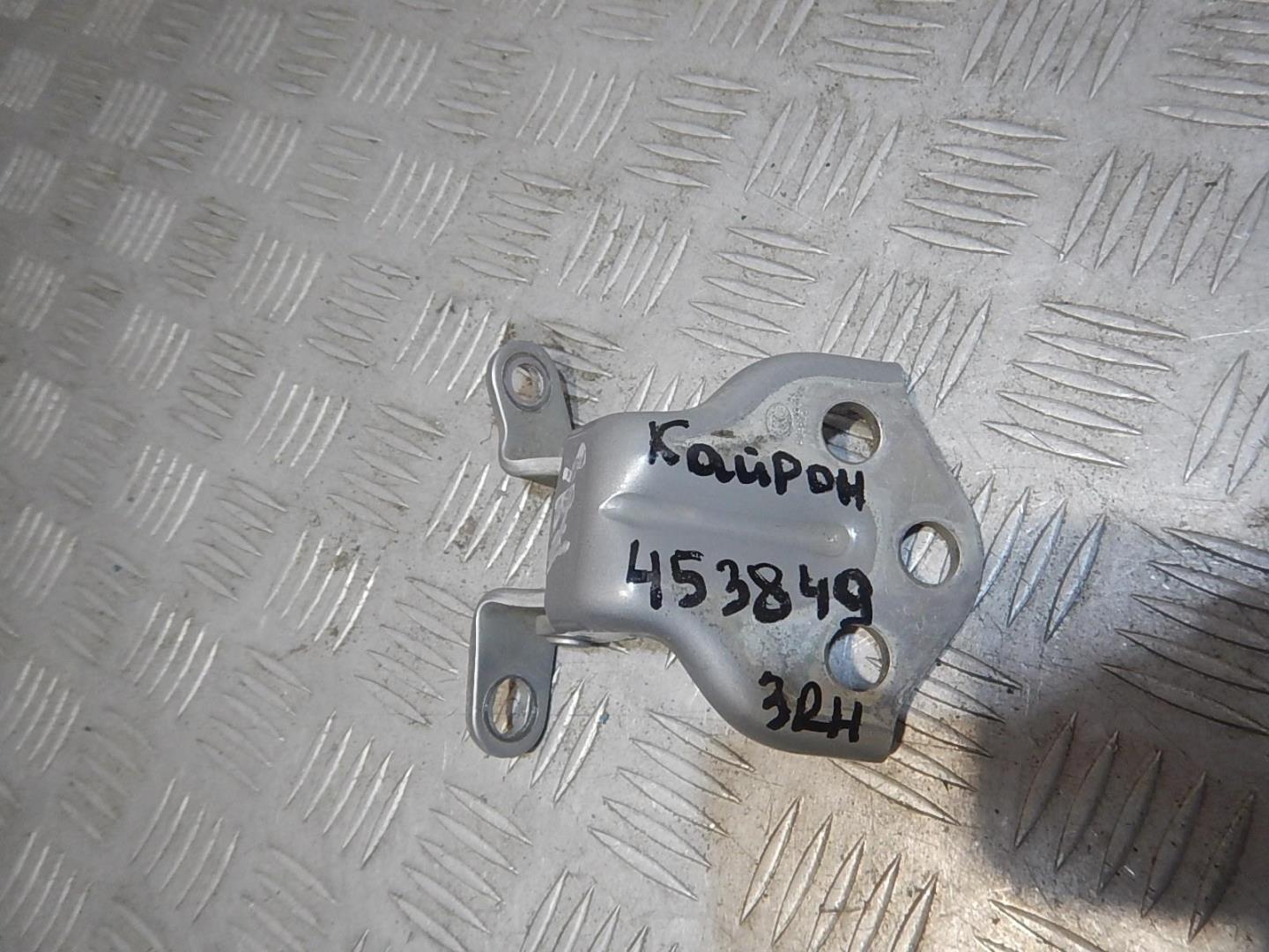 Петля двери задней правой нижняя