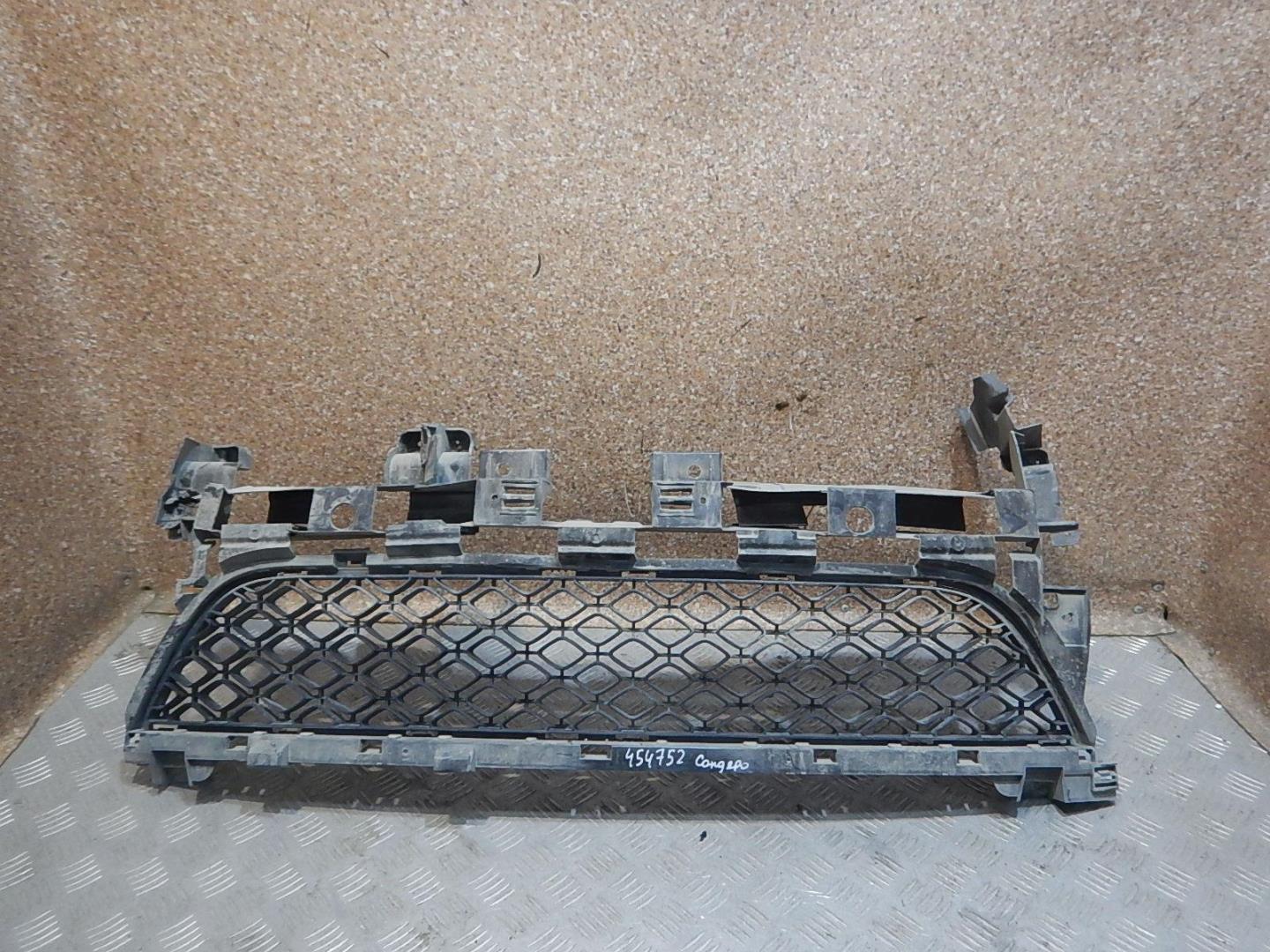 Решетка в бампер центральная