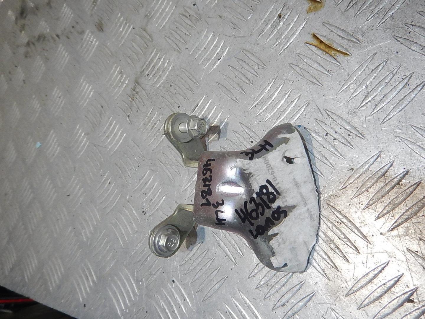 Петля двери задней левой нижняя