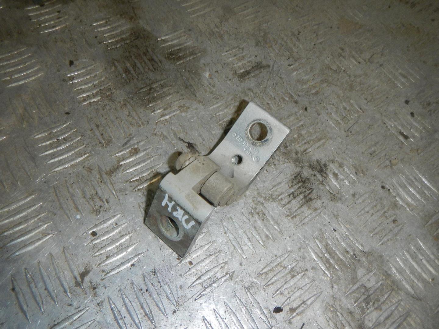 Петля двери передней правой нижняя