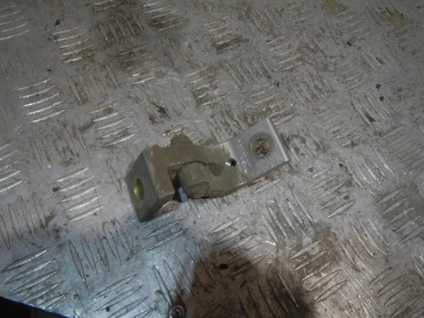 Петля двери задней правой нижняя