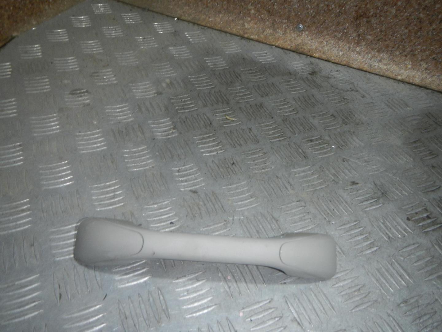 Ручка внутренняя потолочная