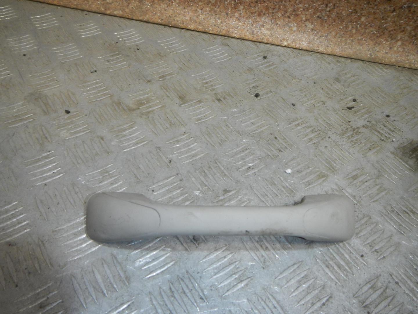 Ручка внутренняя потолочная