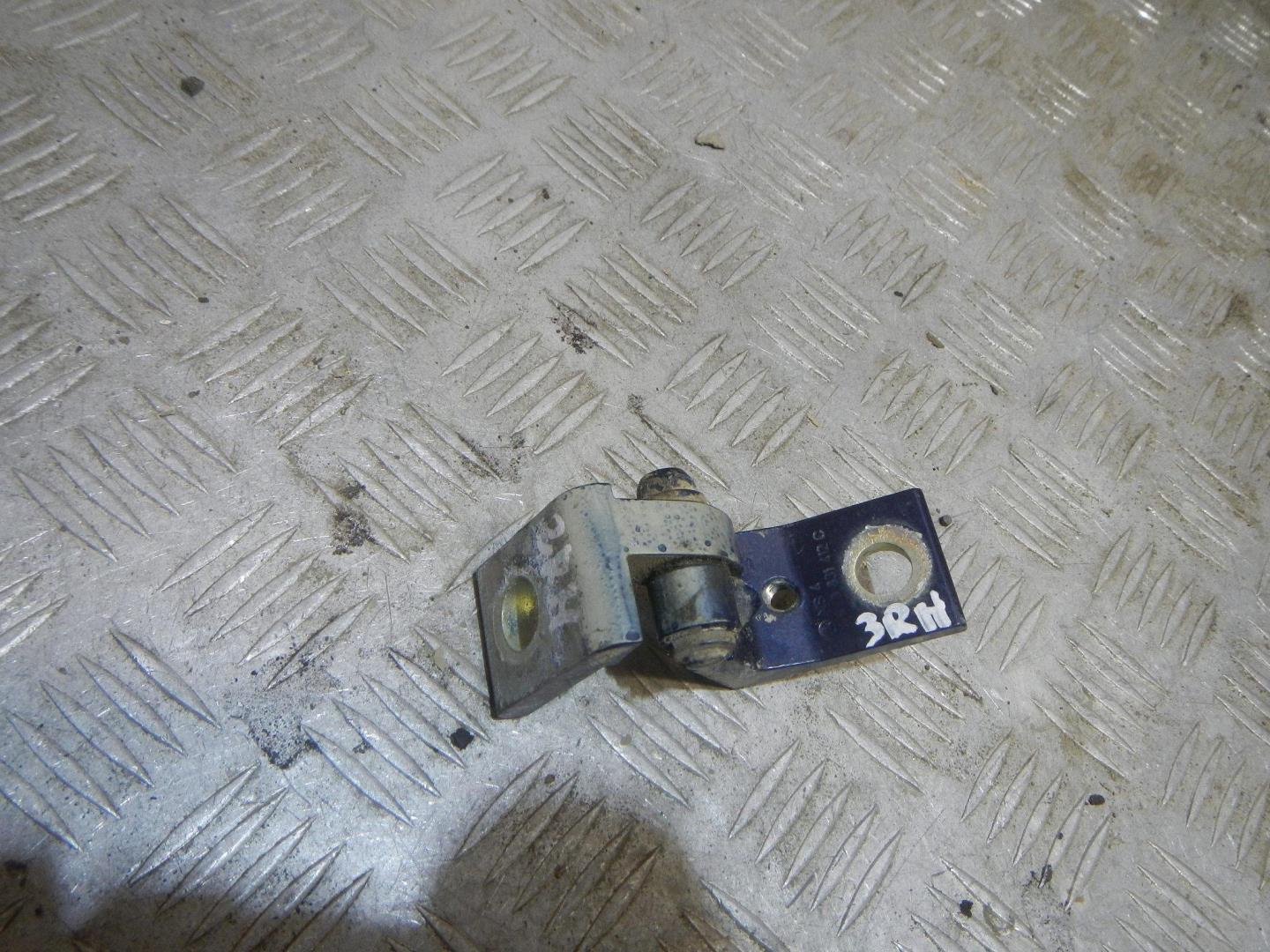 Петля двери задней правой нижняя