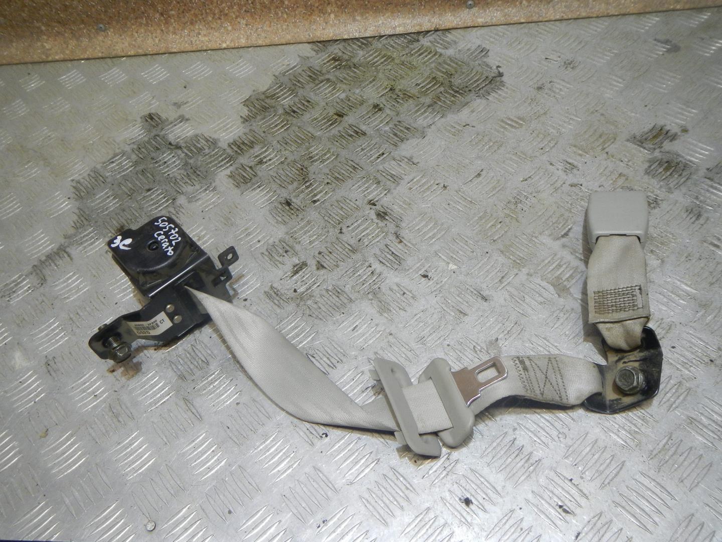 Ремень безопасности