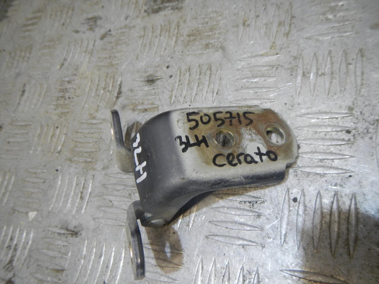 Петля двери задней левой нижняя