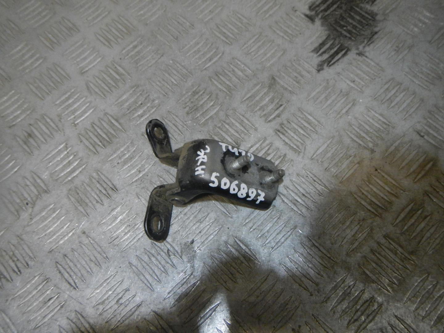 Петля двери задней правой нижняя