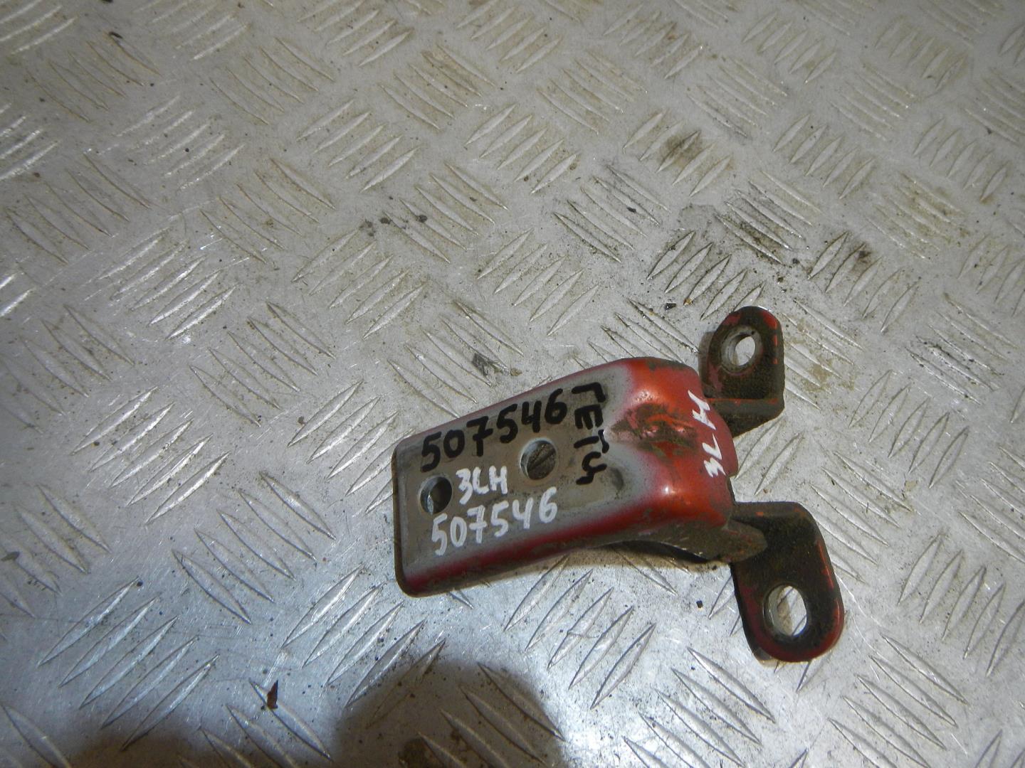 Петля двери задней левой нижняя