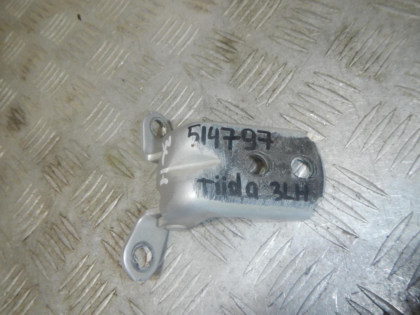 Петля двери задней левой нижняя