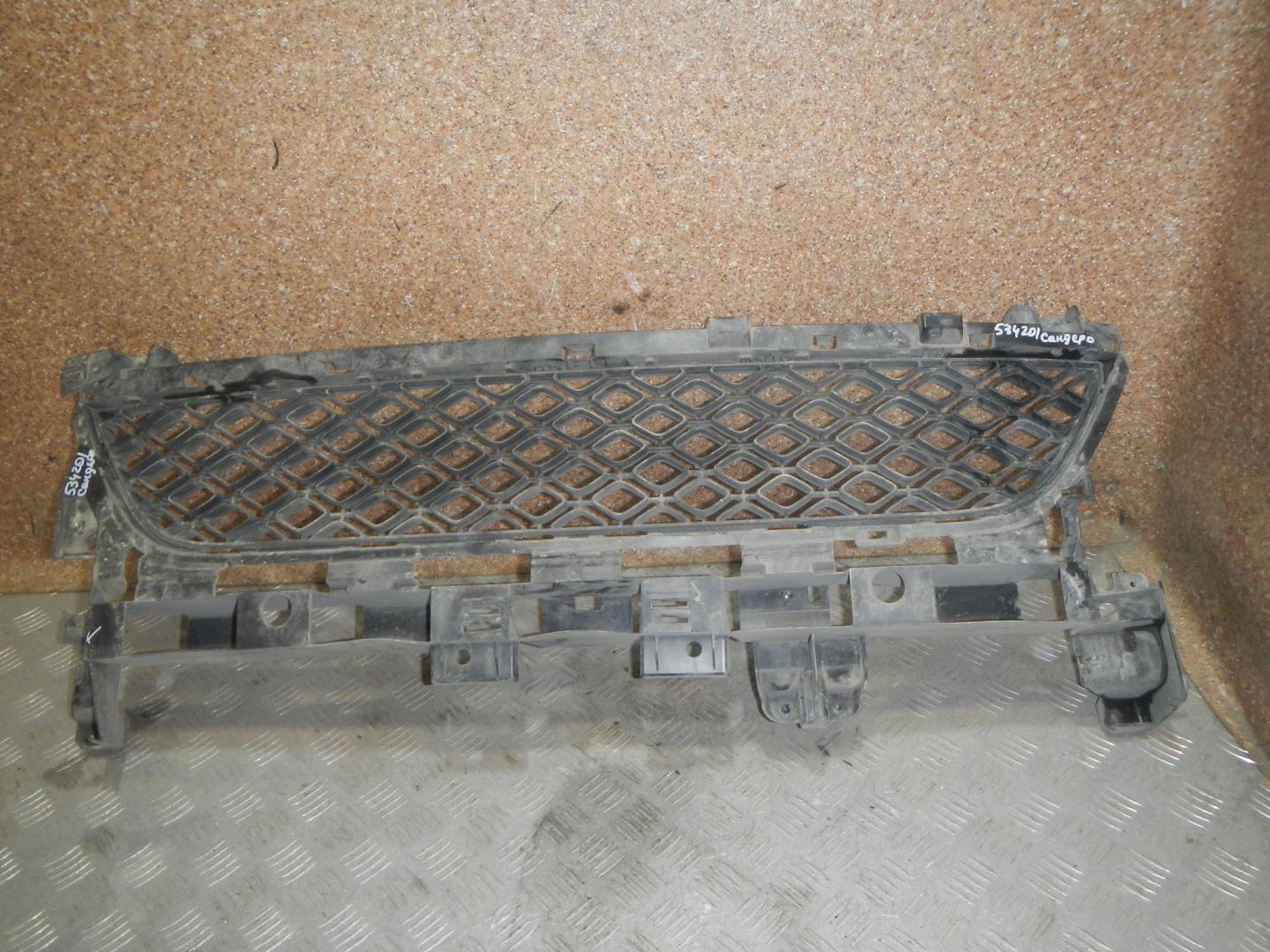 Решетка в бампер центральная